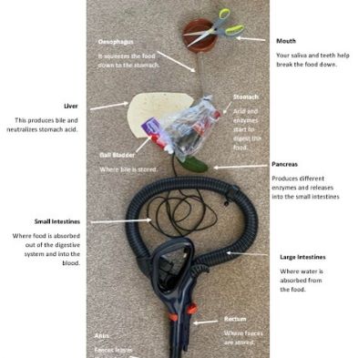 tsa_HomeLearningScience (55)